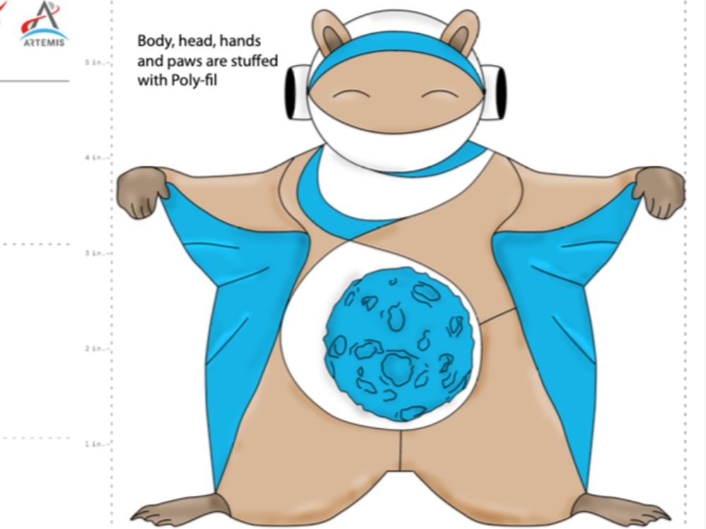  This flying squirrel was designed by Caroline Goyer-Desrosiers of St. Eustache, Que.